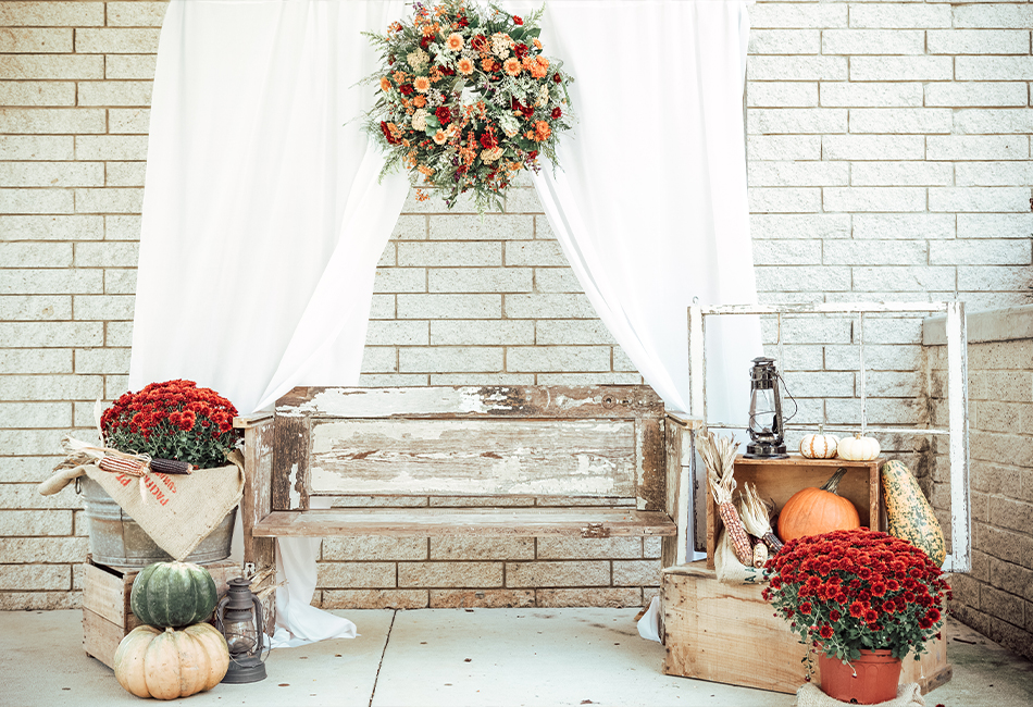 Fall-Backdrop
