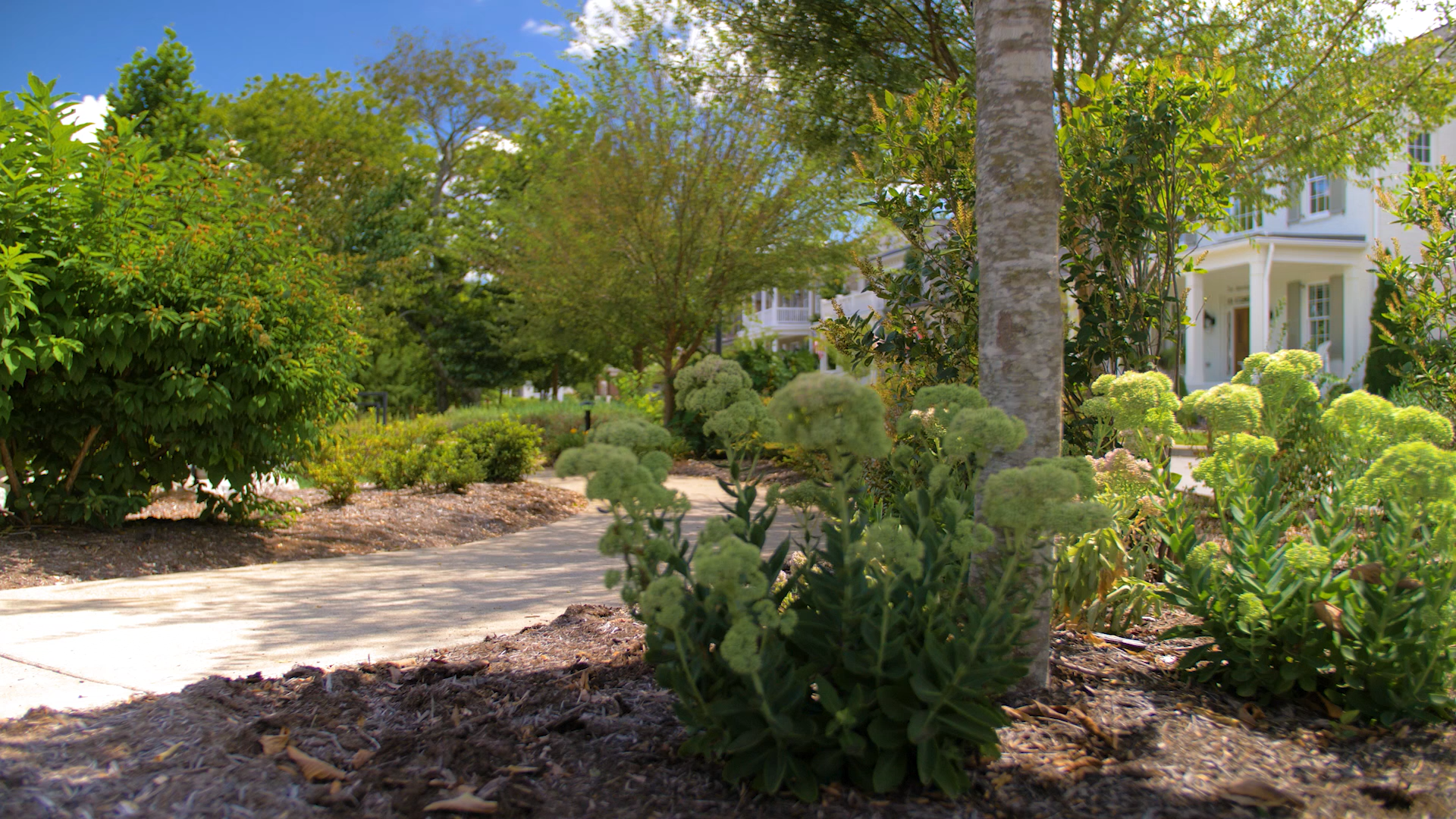Meriwether Park
