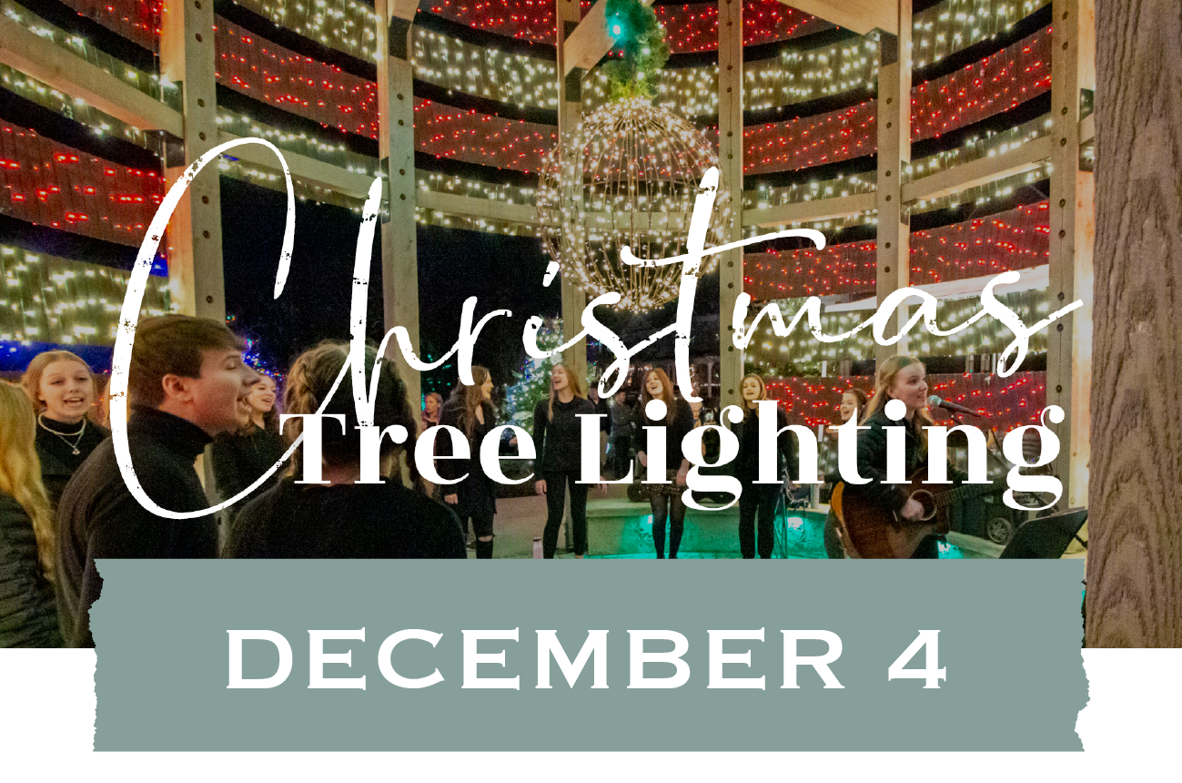 Christmas Tree Lighting A graphic for christmas tree lighting