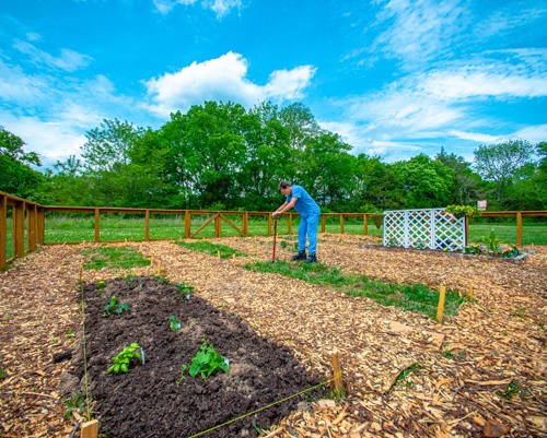 A man working in the community garden stephens valley