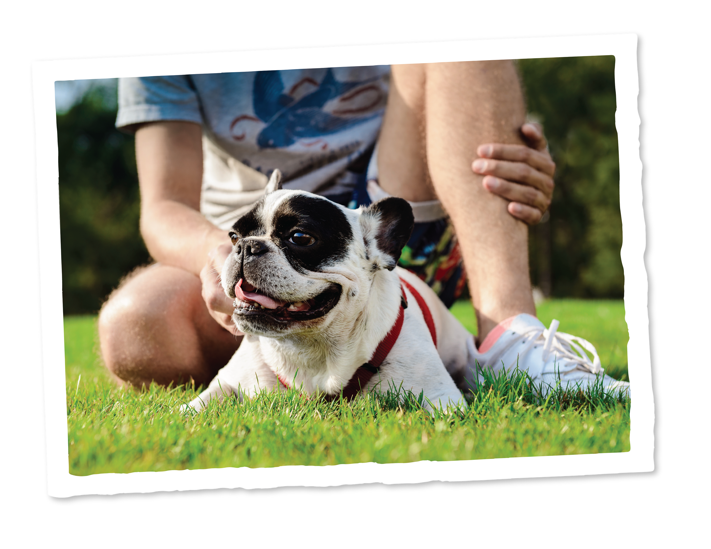 Images_LifestyleAmenities-09 A dog and a man sitting behind at a park