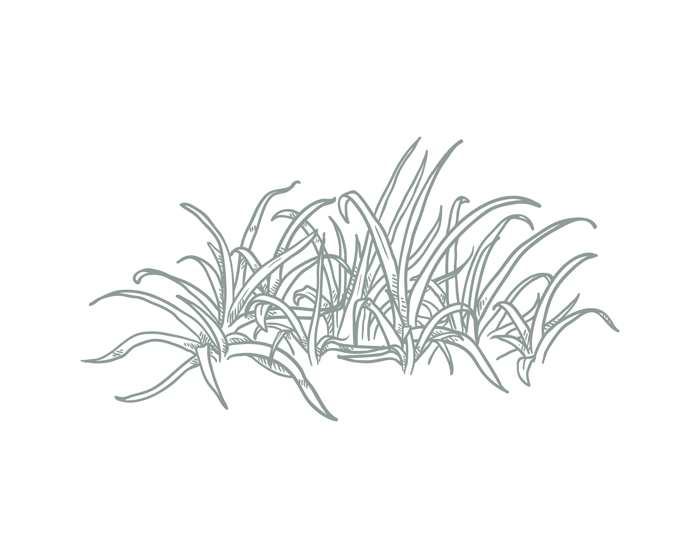 Images_LifestyleAmenities-12 A hand drawn graphic of grass