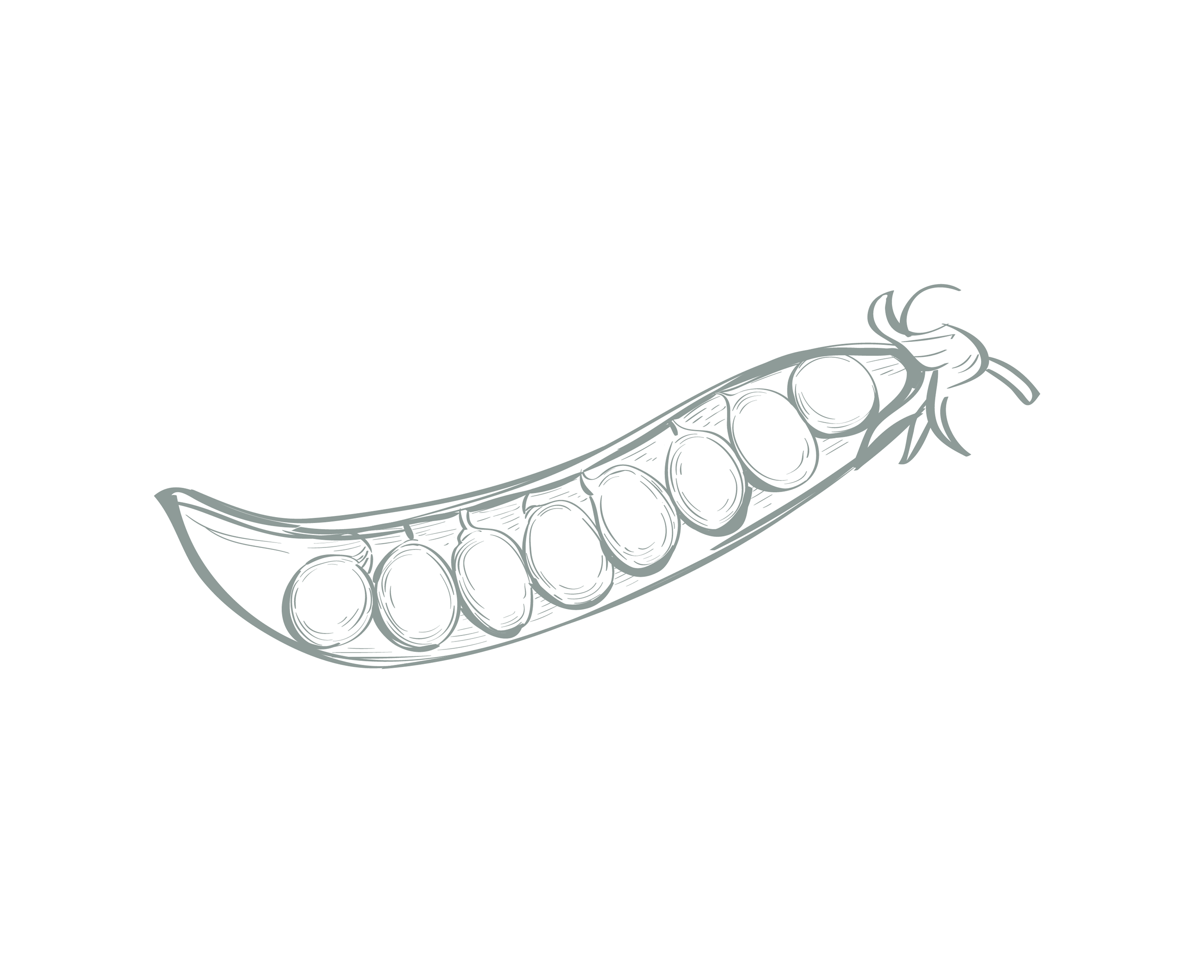 Images_LifestyleAmenities-18 A hand drawn graphic of peas in a pod