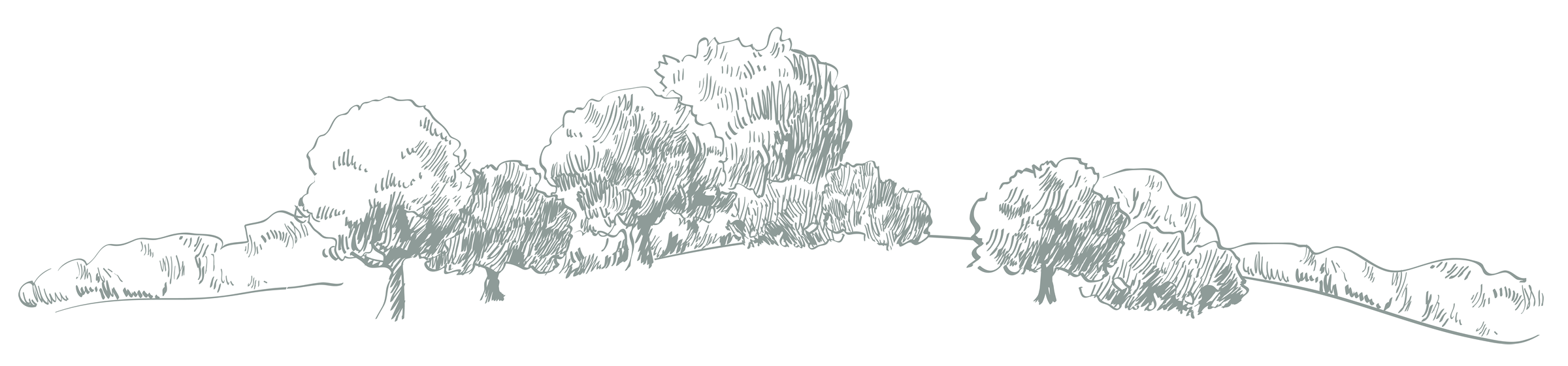 Images_LifestyleParks&Trails-04 A hand drawn graphic of trees and a rolling landscape