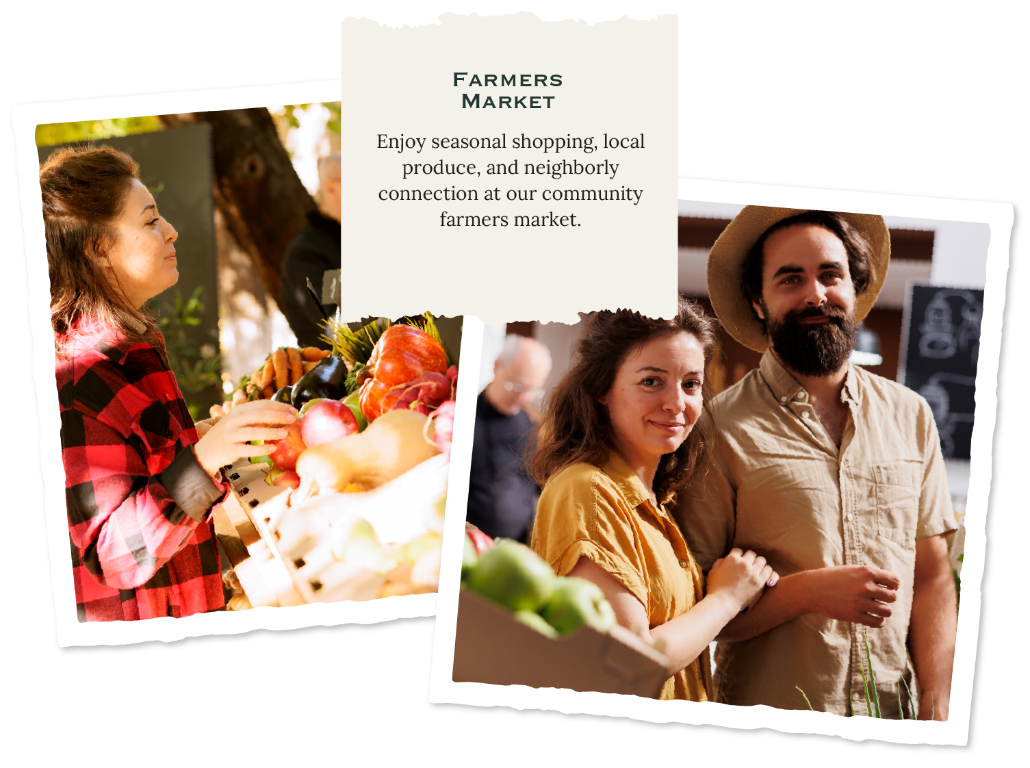 A collage of images for the stephens valley farmers market