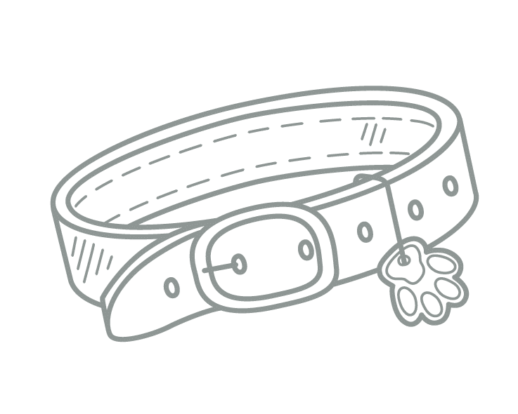 A hand drawn graphic of a dog collar