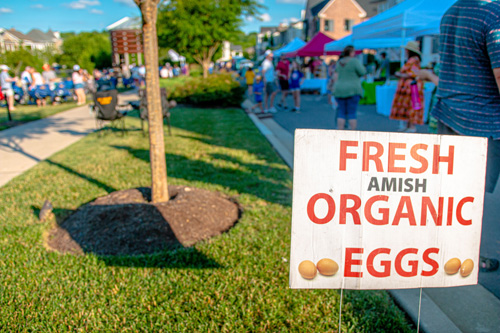 A sign for fresh amish organic eggs
