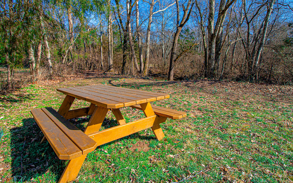A park picnic table in stephens valley