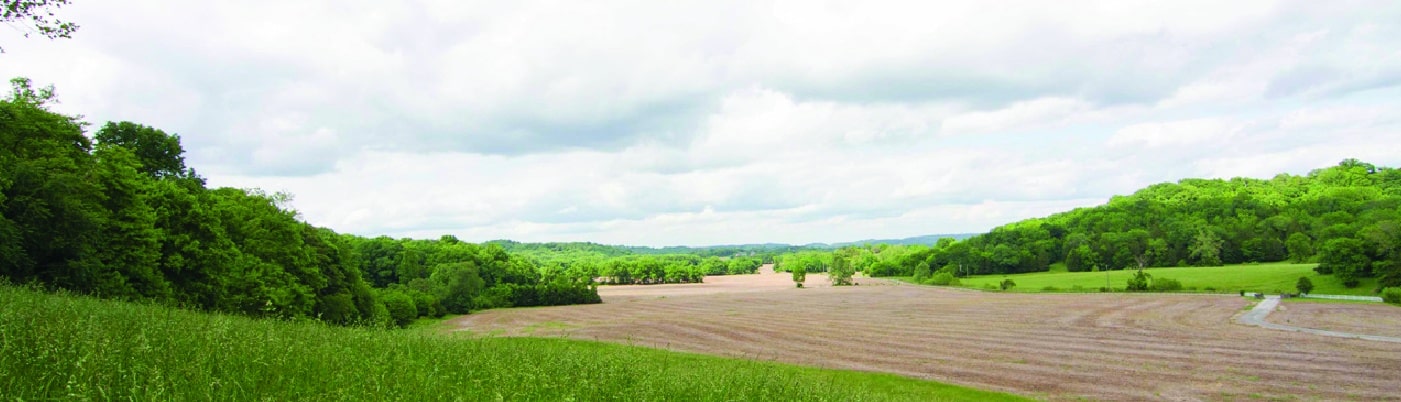 A green and brown field with trees in the background on a cloudy day