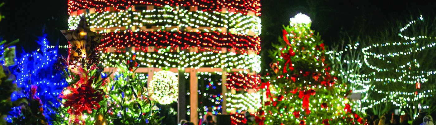 The 5th annual festival of trees