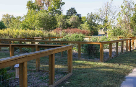 A stephens valley community garden