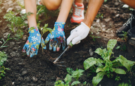 Two people working in the community garden