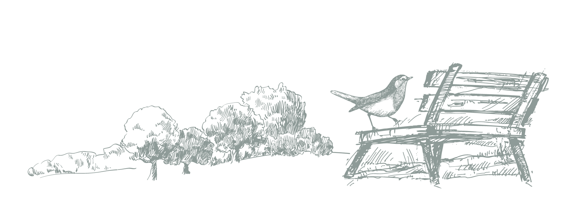 Lifestye_Birdbench A hand drawn image of a bird on a park bench with trees in the distance