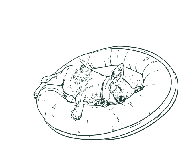 Live_Dog A hand drawn graphic of a small dog sleeping in a dog bed