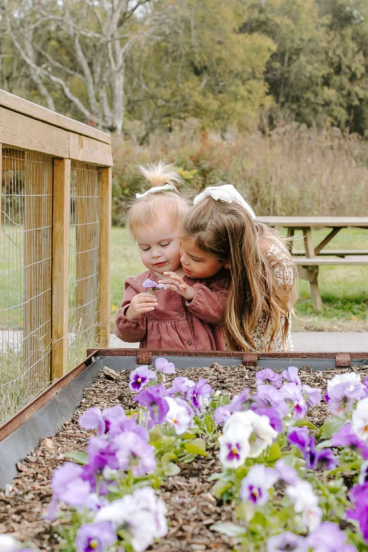 608771348_2265498967188873_8816925593723611554_n